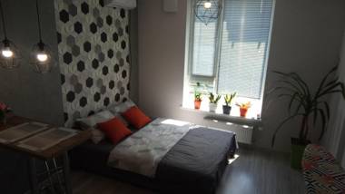 Loft Studio Apartment in the Gated Residential Complex Comfort Town 5