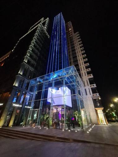 CHICAGO central house - Luxury Apartment