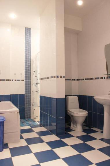 Apartments near Pushkinskaya