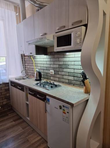 Petropavlivska apartment