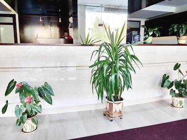 Most City Apart-Hotel