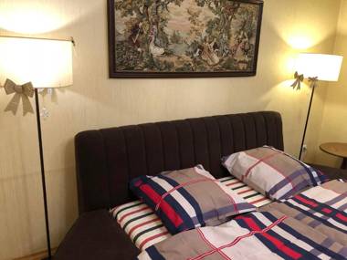 One-Bedroom Apartment in the center