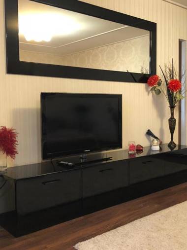 Luxury Apartments in the center