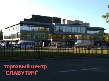 Apartment on Oleksandra Polia Avenue 110