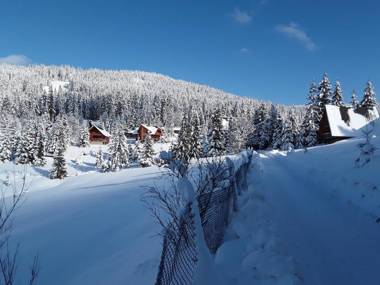 Oryavchik Country House