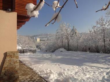 Котедж-шале Елітний