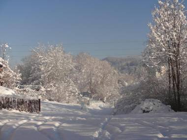 Котедж-шале Елітний