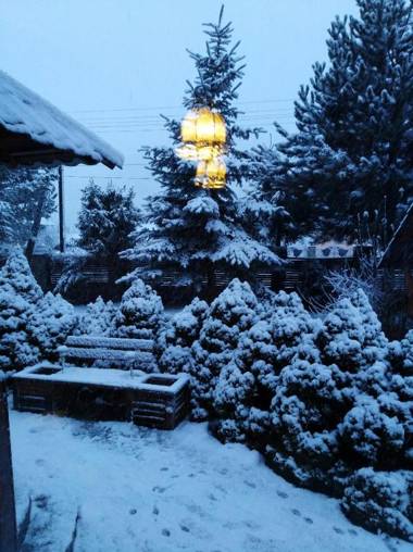 Sadyba Iryna Садиба Ірина