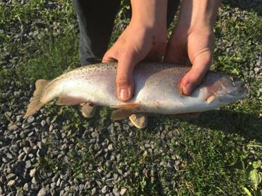 Holiday home Usadba Novoselitsa