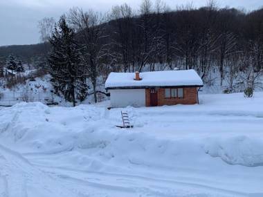 Holiday home Usadba Novoselitsa