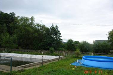 Zelena Sadyba Bila Stavka