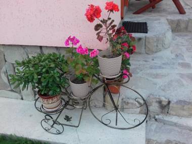 Holiday Home Melodiya Karpat