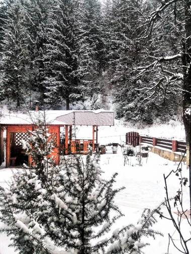 Karpaty Gutsulska Sadyba