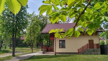 Полярис Polyaris