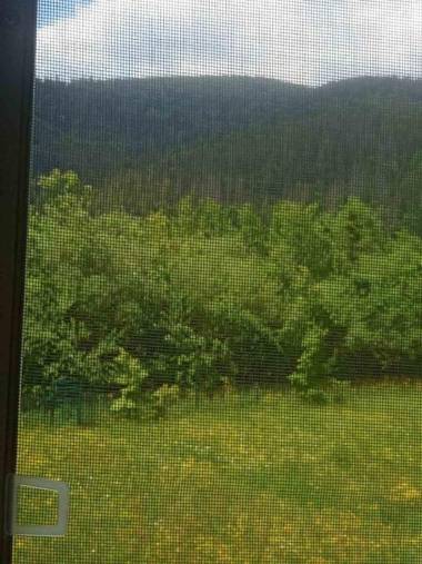 Green House 2 уч ФАЛЬЧІ ВУЛ ПЕРШОГО ТРАВНЯ БУД 5