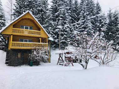 У Віти котедж 1