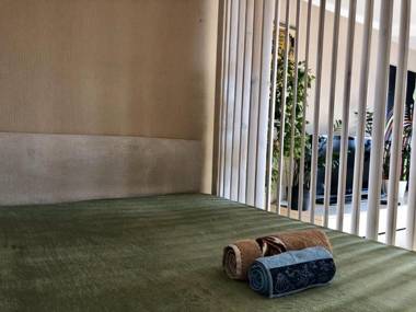 Cozy and comfortable apartment