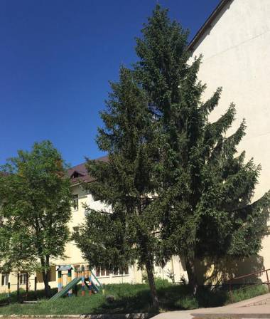 Lux Apartment Studio