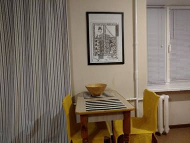 Apartment on Knyahyni Ol'hy Street