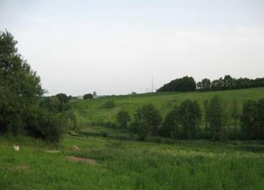 Kалиновий Kущ