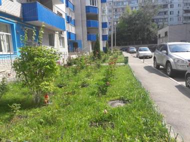 Apartments on Rodnikovoy