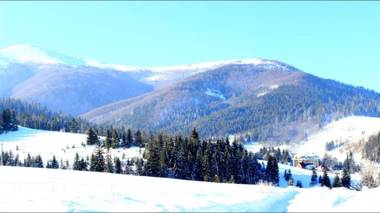 Sadyba Domashniy zatyshok