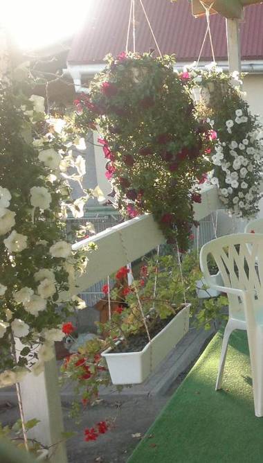 "Ранчо" - тераса без комарів обіди