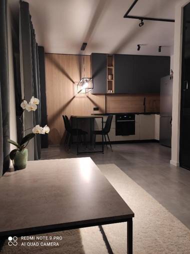 New loft style apartment