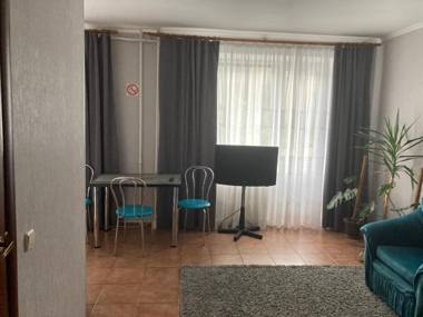 Apartment Artynova 29