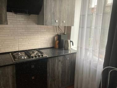 Apartment Artynova 29