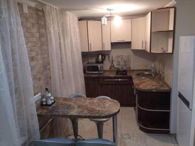 Apartment on Pyrohova 25