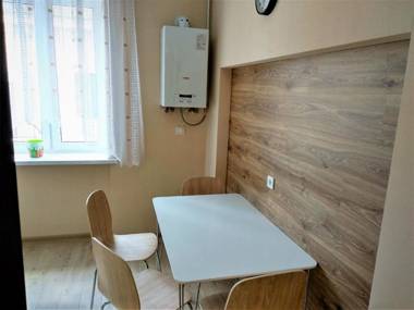 Lux Apartment near Roshen fountain
