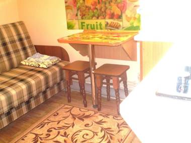 МИНИ СТУДИЯ центр Николаева Соборной-Макарова Макдональдс WI-FI 1 диван 2 этаж