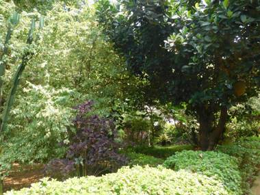 Soho Greens Apartments Apt 3