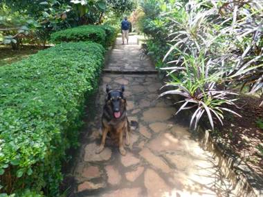 Remarkable 2-Bed Cottage Along Gayaza road