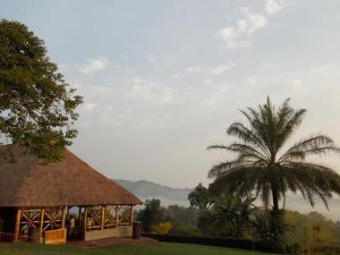 Chimpanzee Forest Guest House