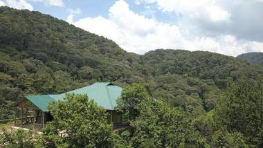 Gorilla Hills Eco-lodge