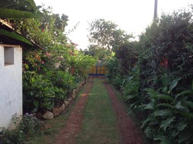 Alison & Dave's Guesthouse