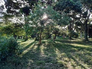 Avocado Bay Private Retreat