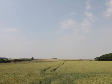 Corner View Driffield