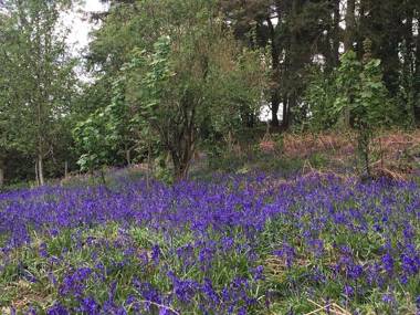 2 bedroom Large Town Centre Apartment FREE Parking