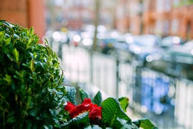 The Apartments by The Sloane Club