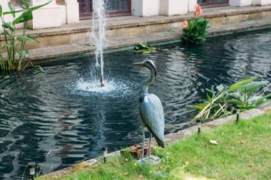 Safestay London Kensington Holland Park