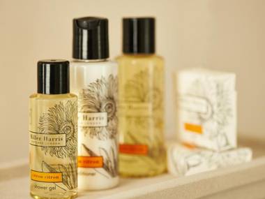 The Bull and The Hide