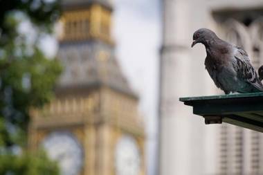 Astor Victoria Hostel