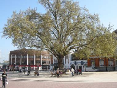 Comfortable Central Apartment in London