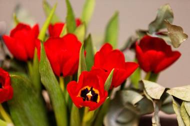 Veeve - City View Apartment