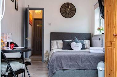 Private Hot Tub Sauna Ice Bath Gym Apartment