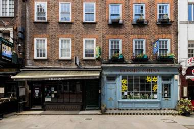 Contemporary Apartment in Central Bloomsbury