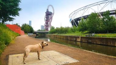 Pop Art Spacious Home for 6 near Olympic Park